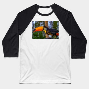 toucan Baseball T-Shirt